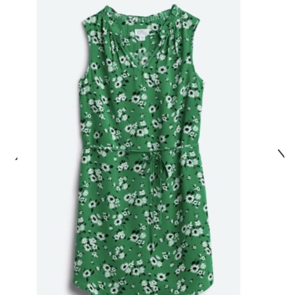 NWT Market and Spruce green sleeveless dress